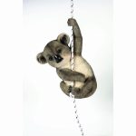 Climbing Koala