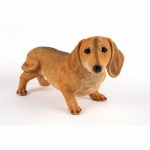 Brown Dachshund (Satnding)