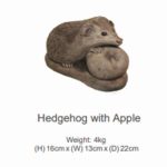 Hedgehog with Apple