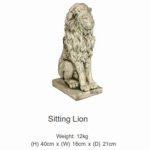 Sitting Lion