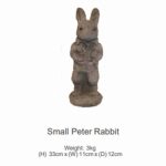 Small Peter Rabbit