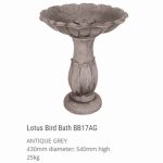 Lotus Birdbath