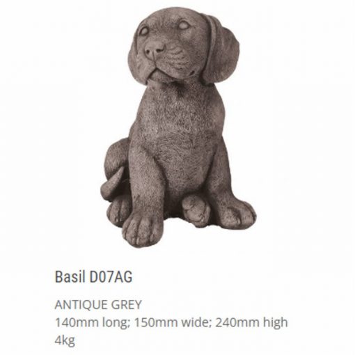 Basil Antique Grey