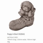 Puppy in Boot