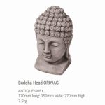 Buddha Head