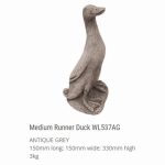 Medium Runner Duck
