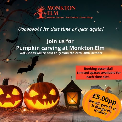 Halloween Pumpkin carving 28th October