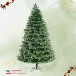 Ashley Spruce Tree