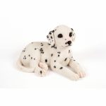 Lying Dalmation