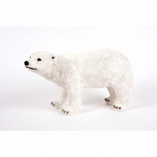 Polar Bear Standing