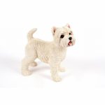 West Highland Terrier Standing