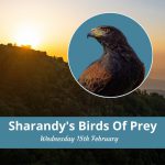 Sharandys Birds of Prey