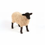 Standing Sheep