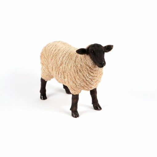 Standing Sheep