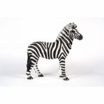 Standing Zebra