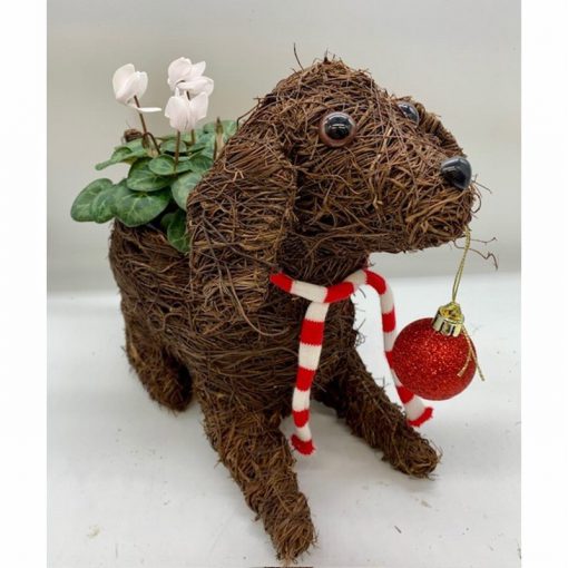 Cute Dog with Bauble