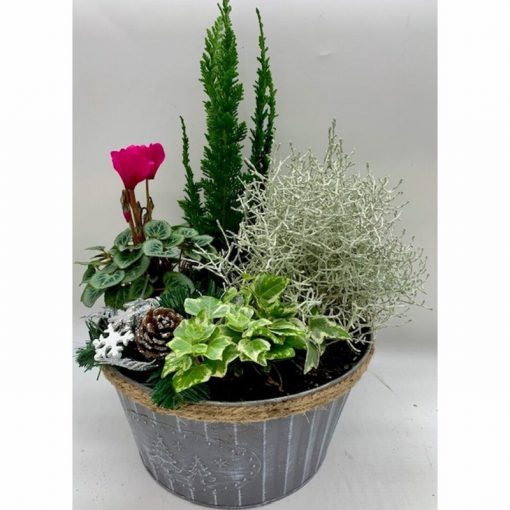 Tin bowl with rope top planted container