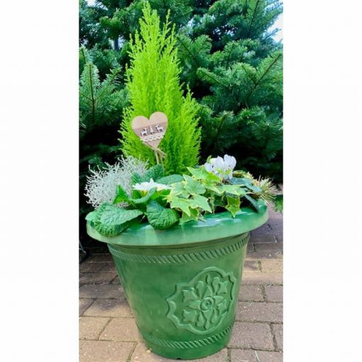 Glossy green planted container