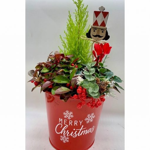 Merry Christmas planted arrangement