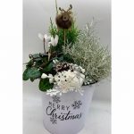 White Merry Christmas Tin Planted Arrangement