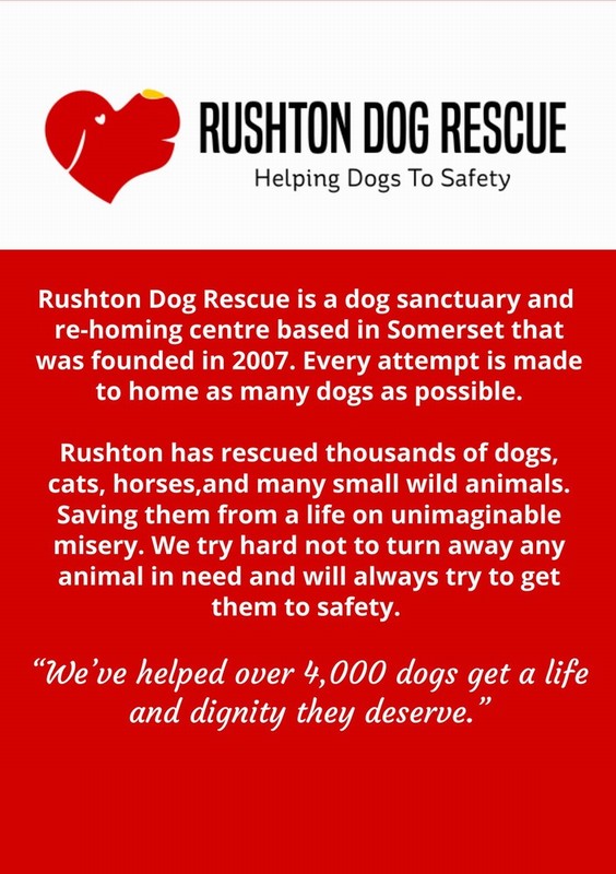 Bells Of Charity - Image 5