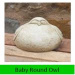 Baby Round Owl