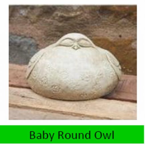 Baby Round Owl