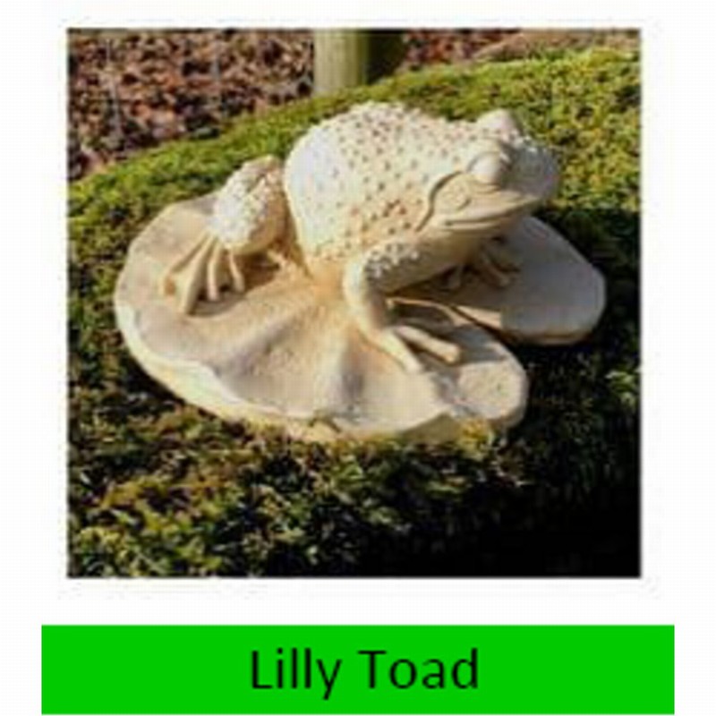 Lily Toad 8cm x 12.5cm