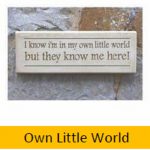 Own Little World Wall Plaque 10cm x 29cm