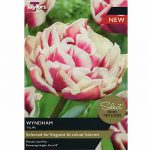 Tulip Wyndham