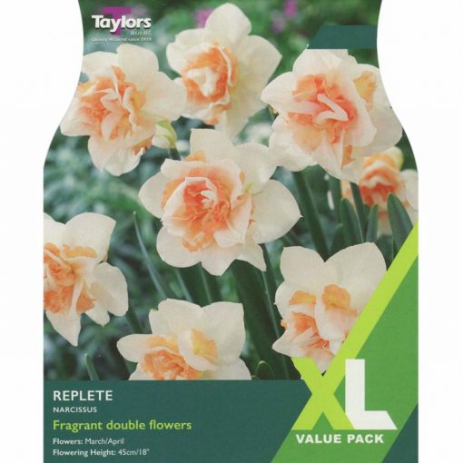 Narcissi Replete