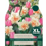 Bursting with Beauty Combo Pack