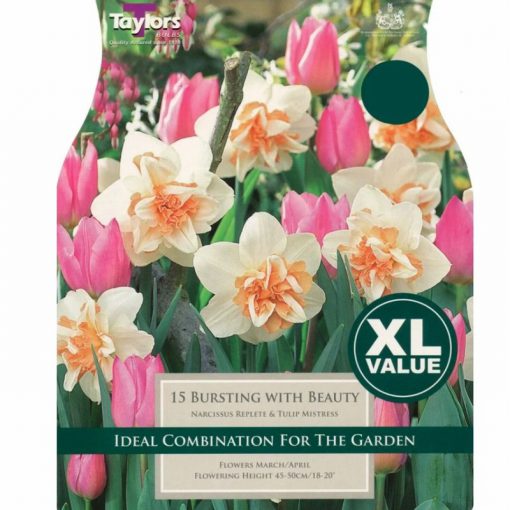 Bursting with Beauty Combo Pack