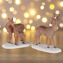 Deer Family