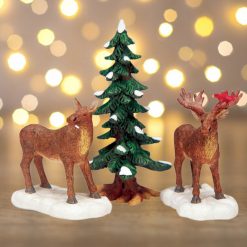 Mr and Mrs Moose