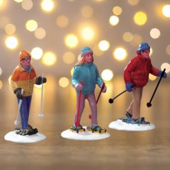 Snowshoe walkers