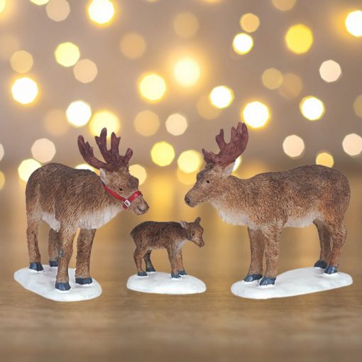 Reindeer