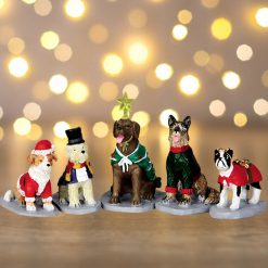 Costumed Canines