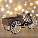 Lemax Carry Bike