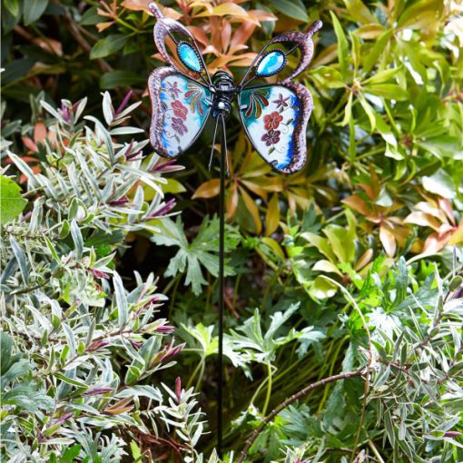 Butterfly Brilliance (Assorted)