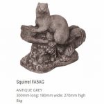 Squirrel