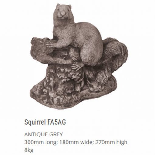 Squirrel