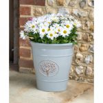 56cm Blenheim Pot Grey