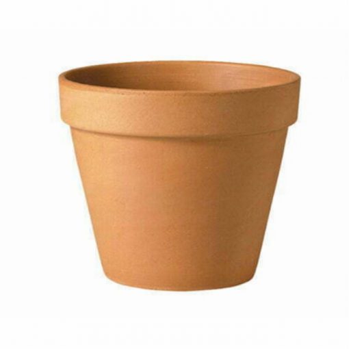 13cm Verona Standard Pot