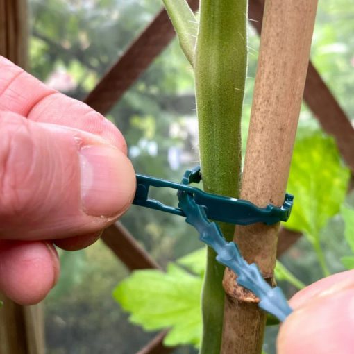 Plastic Vine Ties