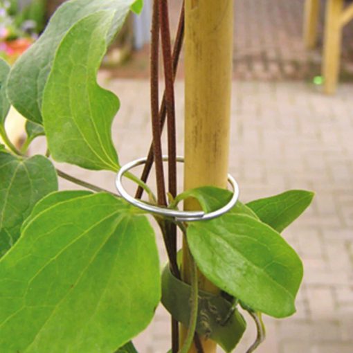 Plant Rings Zinc Coated