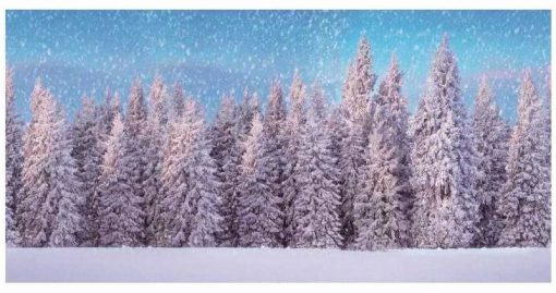 My Village - Cloth background Snow Forest