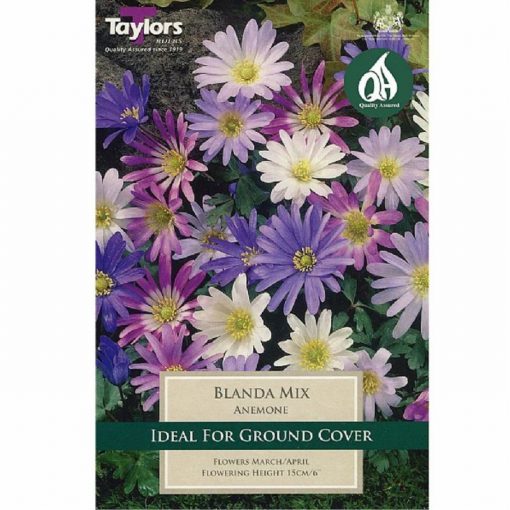 Anemone Blanda mIxed