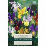 Iris Dutch Mixed