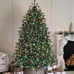 Compact Lights - Multi Coloured